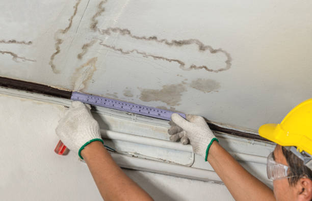 Reliable Flood Cleanup contractor in Joint Base Mdl, NJ by Water Damage Irwin